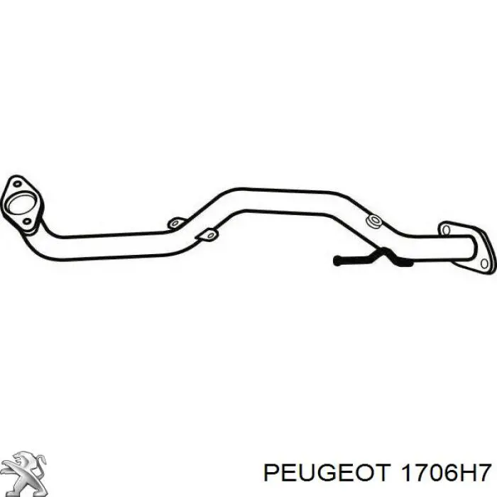 Гофра глушителя 1706H7 Peugeot/Citroen