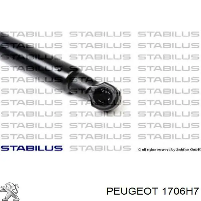 Гофра 170675 Peugeot/Citroen