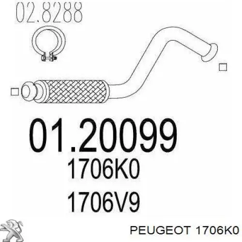 Глушитель, центральная часть 1706K0 Peugeot/Citroen