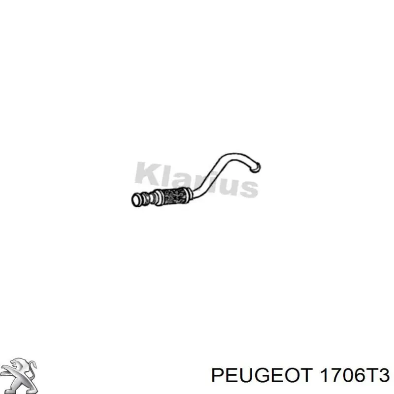 Трубы приемные (штаны) Peugeot/Citroen 1706T3 цена, от 42.37 USD