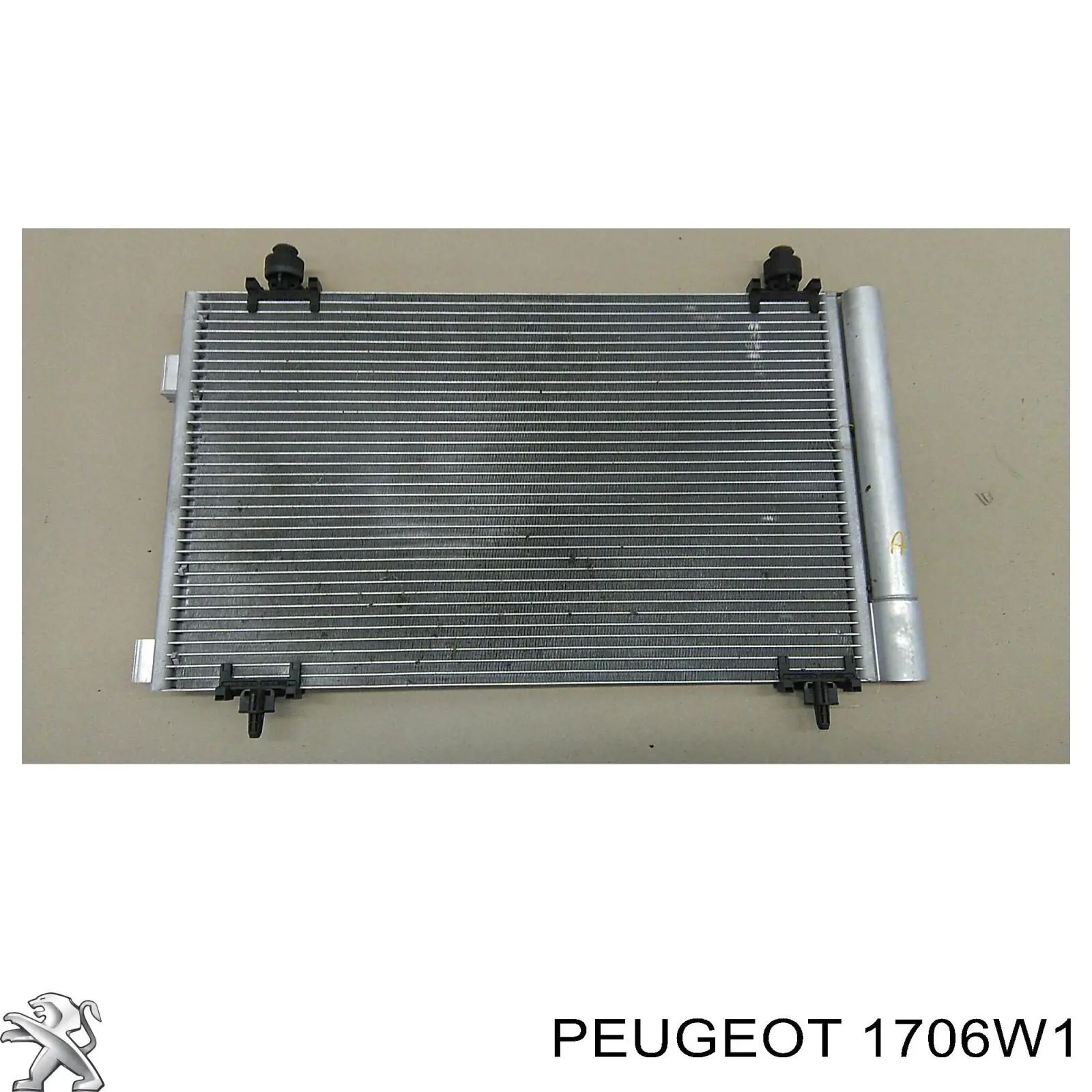 Катализатор 1706W1 Peugeot/Citroen