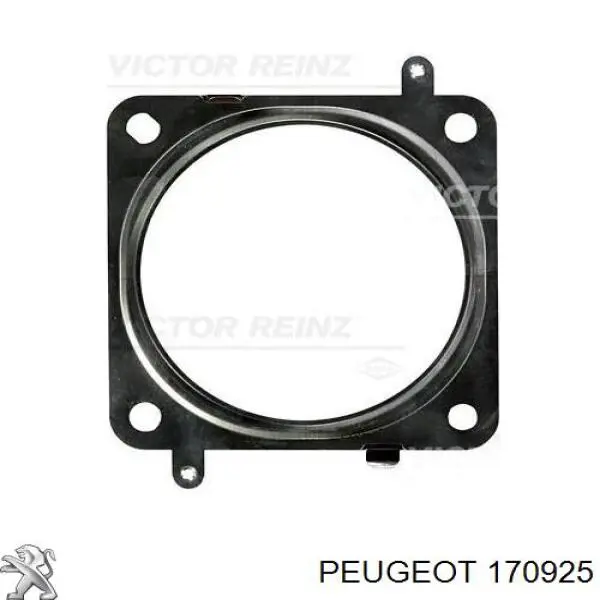 170925 Peugeot/Citroen Прокладка штанов