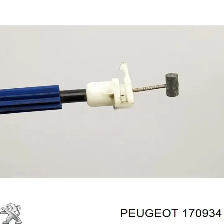 Купить 01159600 Ajusa 