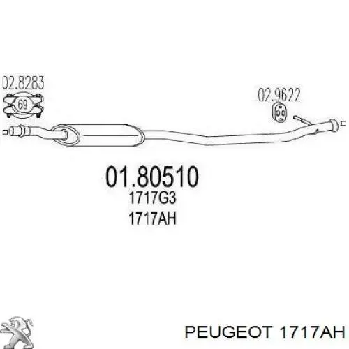 1717AH Peugeot/Citroen резонатор воздушного фильтра