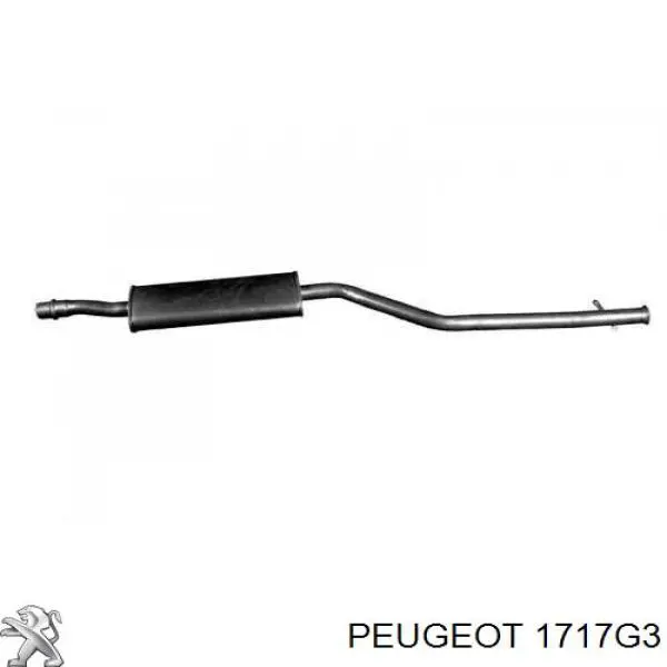 Resonador, filtro de aire 1717G3 Peugeot/Citroen