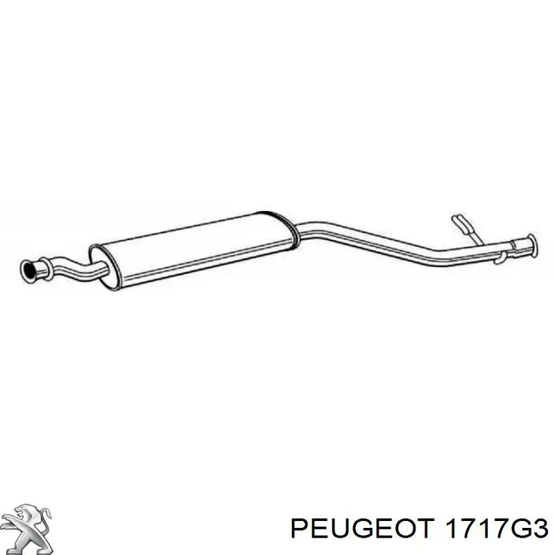 Резонатор воздушного фильтра 1717G3 Peugeot/Citroen