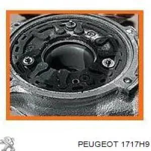 Купить 00001717AY Peugeot/Citroen Выхлоп центральный