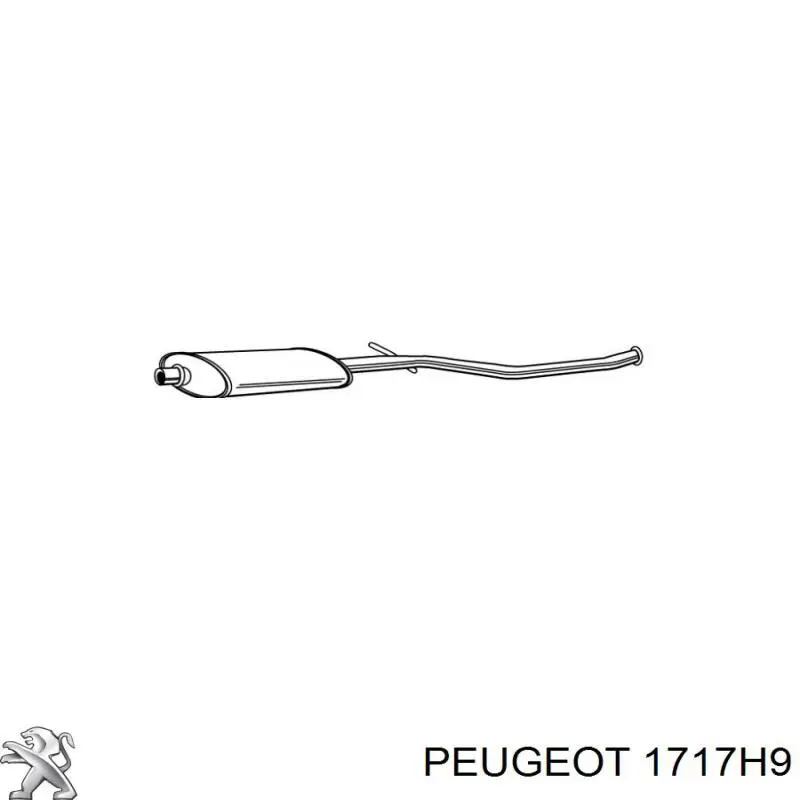 Глушитель, центральная часть Peugeot/Citroen 00001717AY цена, от 77.52 USD