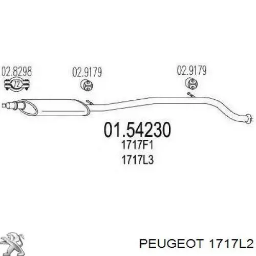 1717L2 Peugeot/Citroen