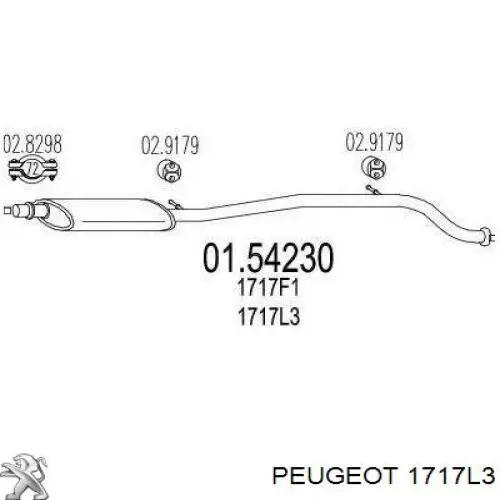 Центральная часть глушителя 1717L3 Peugeot/Citroen