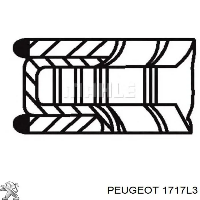 Купить 1717L3 Peugeot/Citroen Выхлоп центральный
