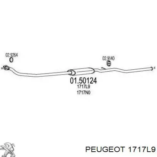 Глушитель, центральная часть 1717L9 Peugeot/Citroen