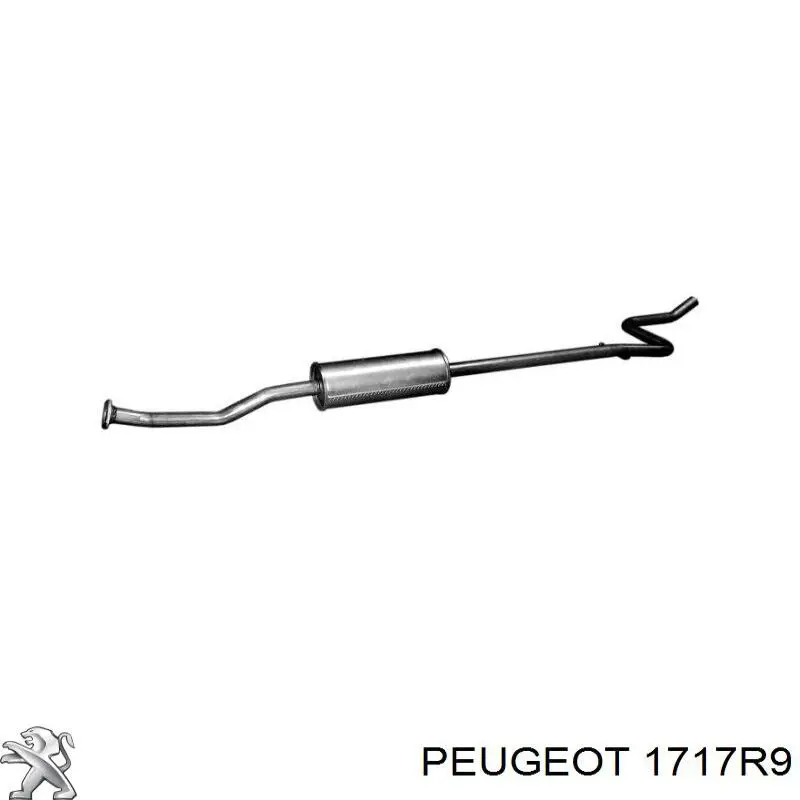 Центральная часть глушителя 1717R9 Peugeot/Citroen