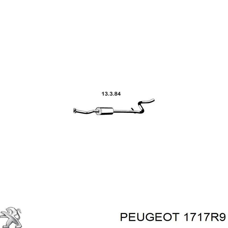 Silenciador del medio 1717R9 Peugeot/Citroen