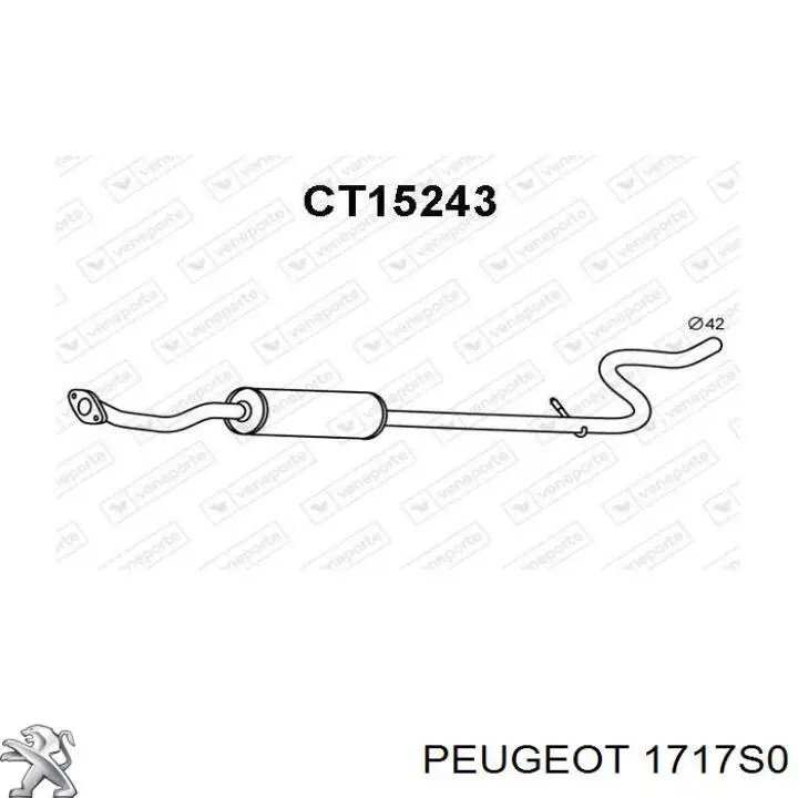 1717S0 Peugeot/Citroen 