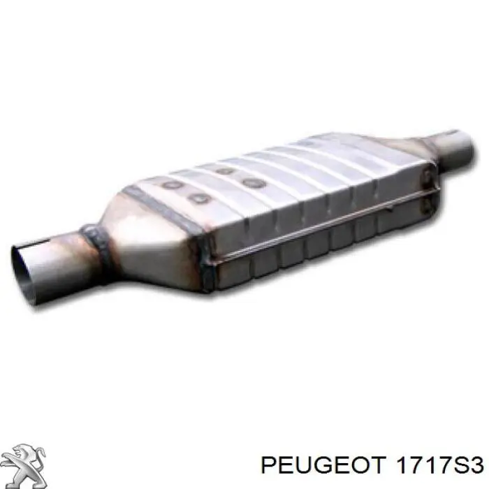 Купить 1717S3 Peugeot/Citroen Выхлоп центральный