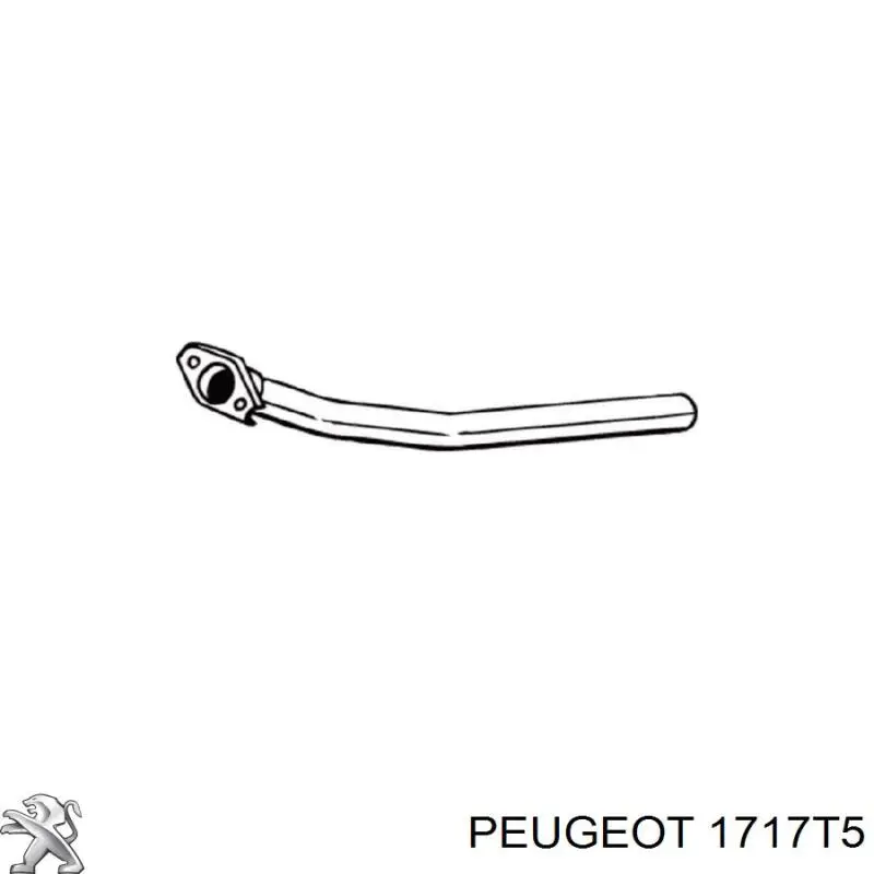 Silenciador del medio 1717T5 Peugeot/Citroen