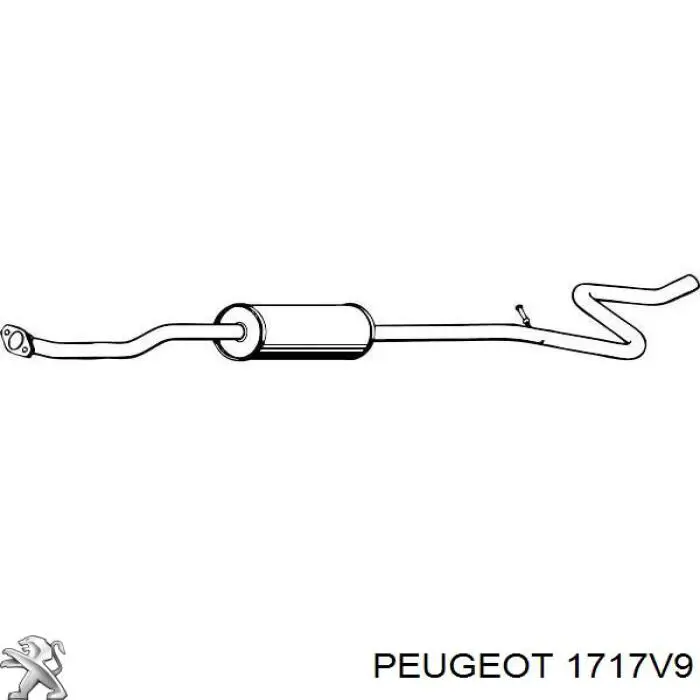  00001717V9 Peugeot/Citroen