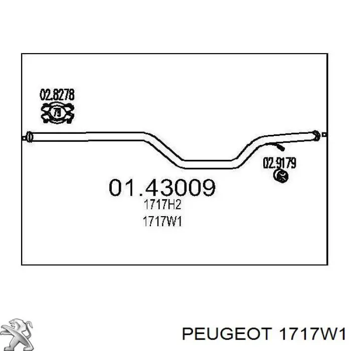 1717W1 Peugeot/Citroen Глушитель центральный