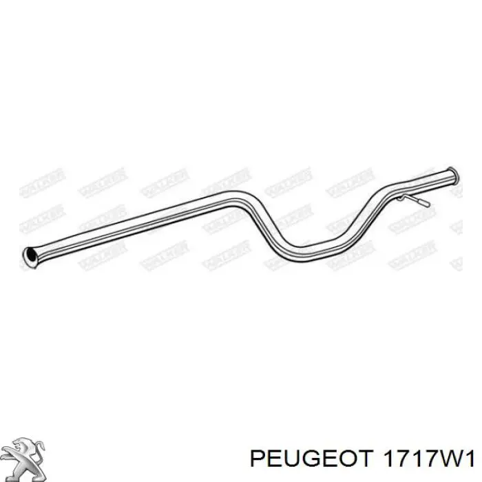 Купить 1717W1 Peugeot/Citroen Выхлоп центральный