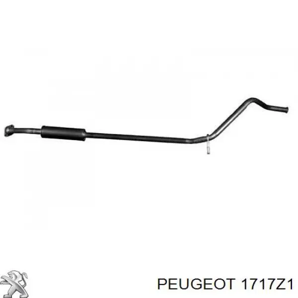 Купить 1717Z1 Peugeot/Citroen Выхлоп центральный