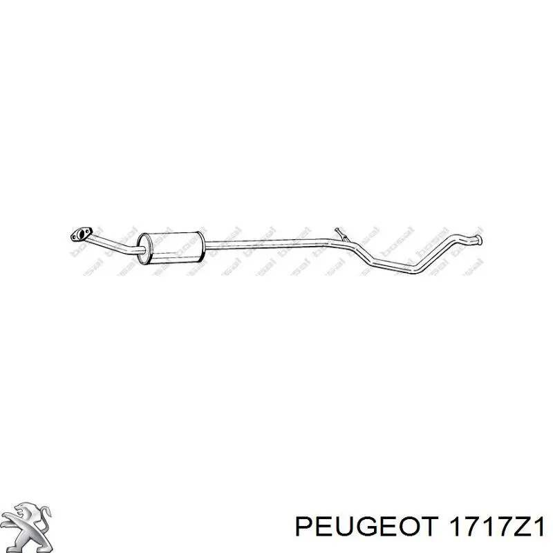 Silenciador del medio 1717Z1 Peugeot/Citroen