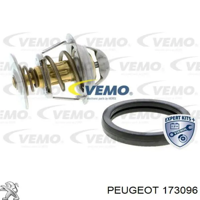 173096 Peugeot/Citroen