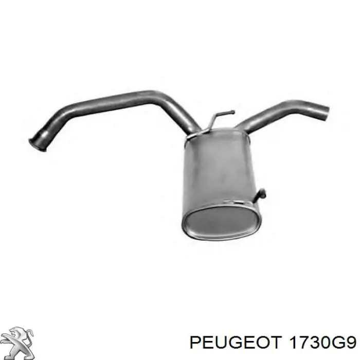 Выхлоп задний Peugeot/Citroen 1730G9 цена, от 50.30 USD