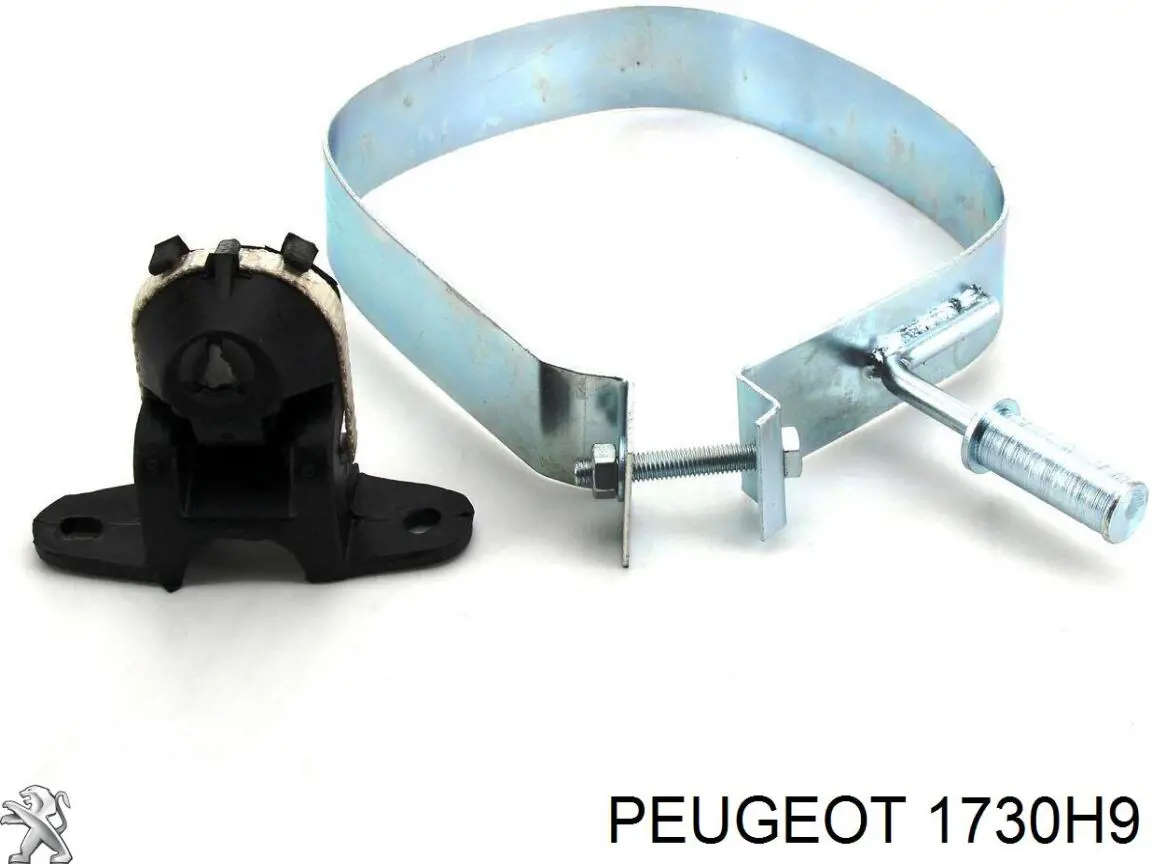 Купить 1730H9 Peugeot/Citroen Глушитель задний