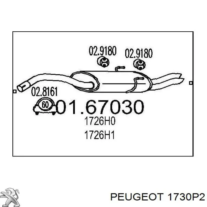 00001726N9 Peugeot/Citroen 