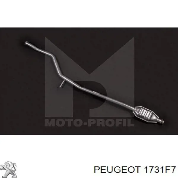 Катализатор Peugeot/Citroen 1731E6