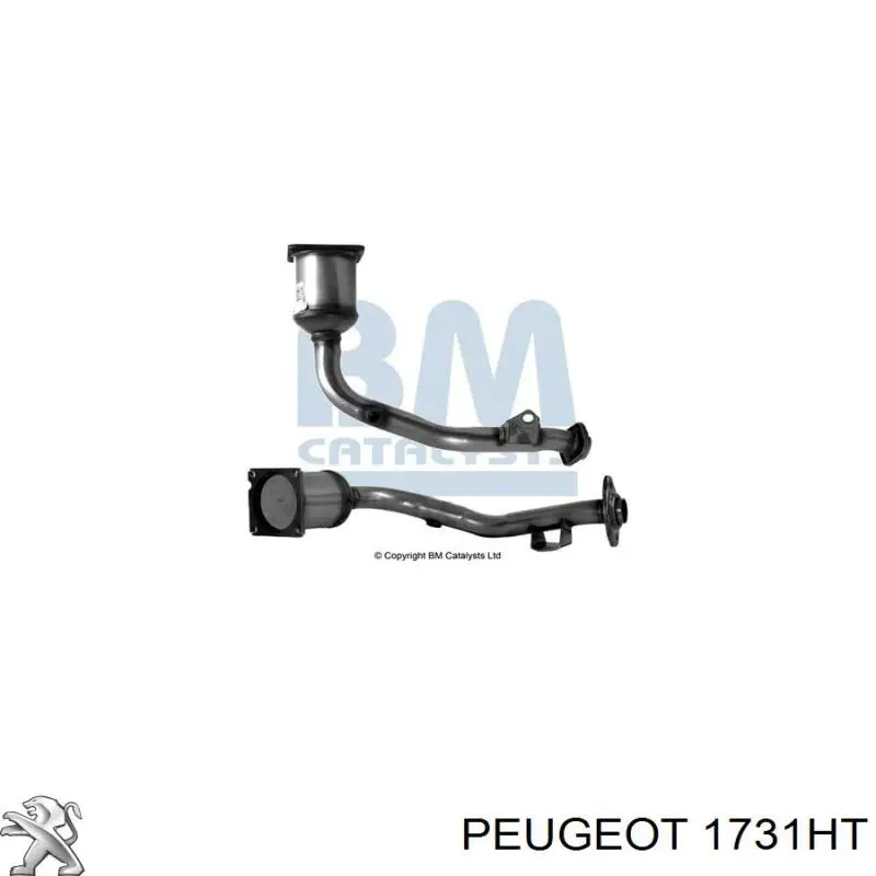 Каталитический нейтрализатор отработавших газов Peugeot/Citroen 1731HT цена, от 179.34 USD