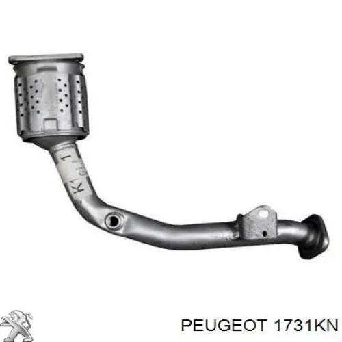 Catalizador 1731KN Peugeot/Citroen
