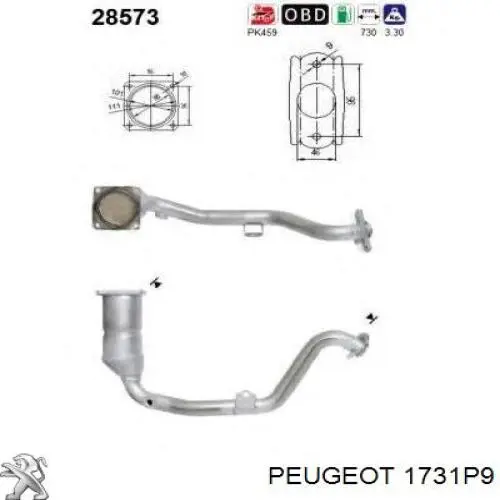 Catalizador 1731P9 Peugeot/Citroen
