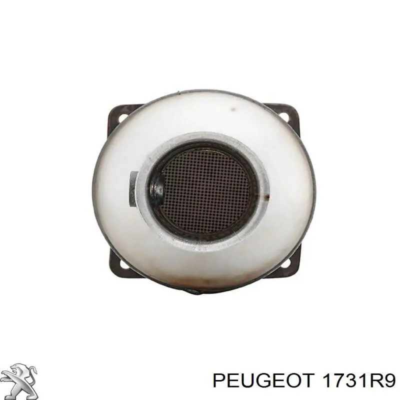 00001731R9 Peugeot/Citroen