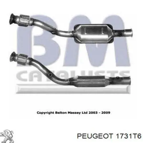 Купить 1731T6 Peugeot/Citroen Преобразователь отработавших газов