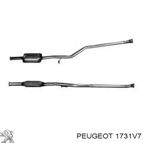 Купить 1731V7 Peugeot/Citroen Преобразователь отработавших газов
