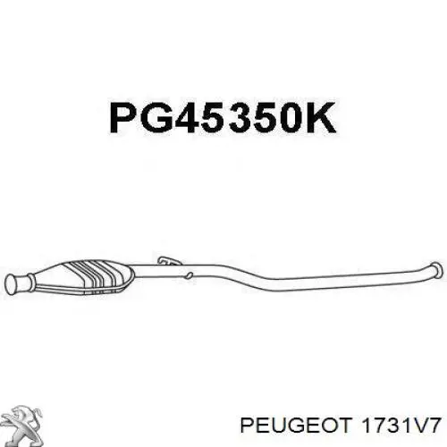 Каталитический нейтрализатор отработавших газов Peugeot/Citroen 1731V7 цена, от 223.21 USD