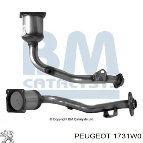 Купить 1731W0 Peugeot/Citroen Преобразователь отработавших газов