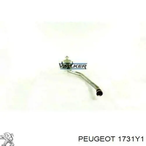 Трубы приемные (штаны) Peugeot/Citroen 1731Y1 цена, от 201.87 USD