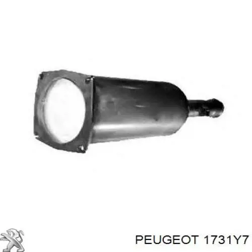 1731Y7 Peugeot/Citroen