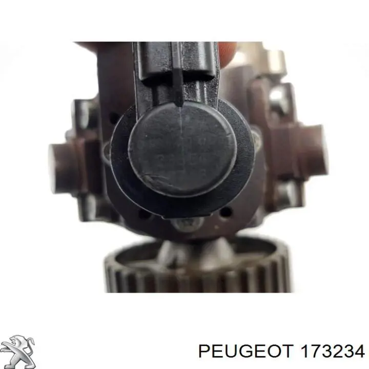 173234 Peugeot/Citroen 