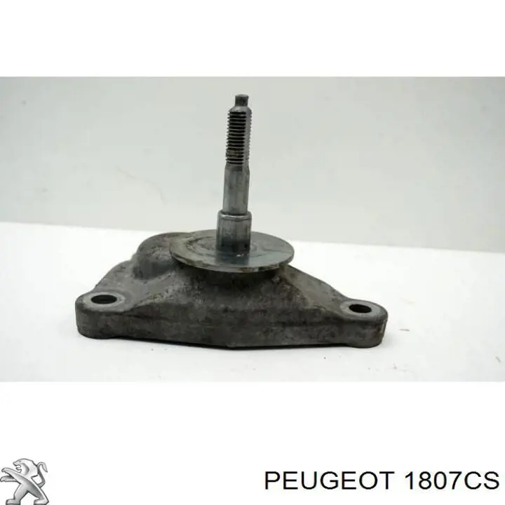  1807CS Peugeot/Citroen