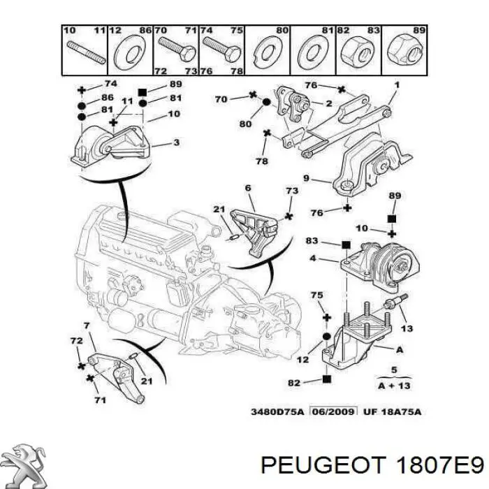 1807E9 Peugeot/Citroen 
