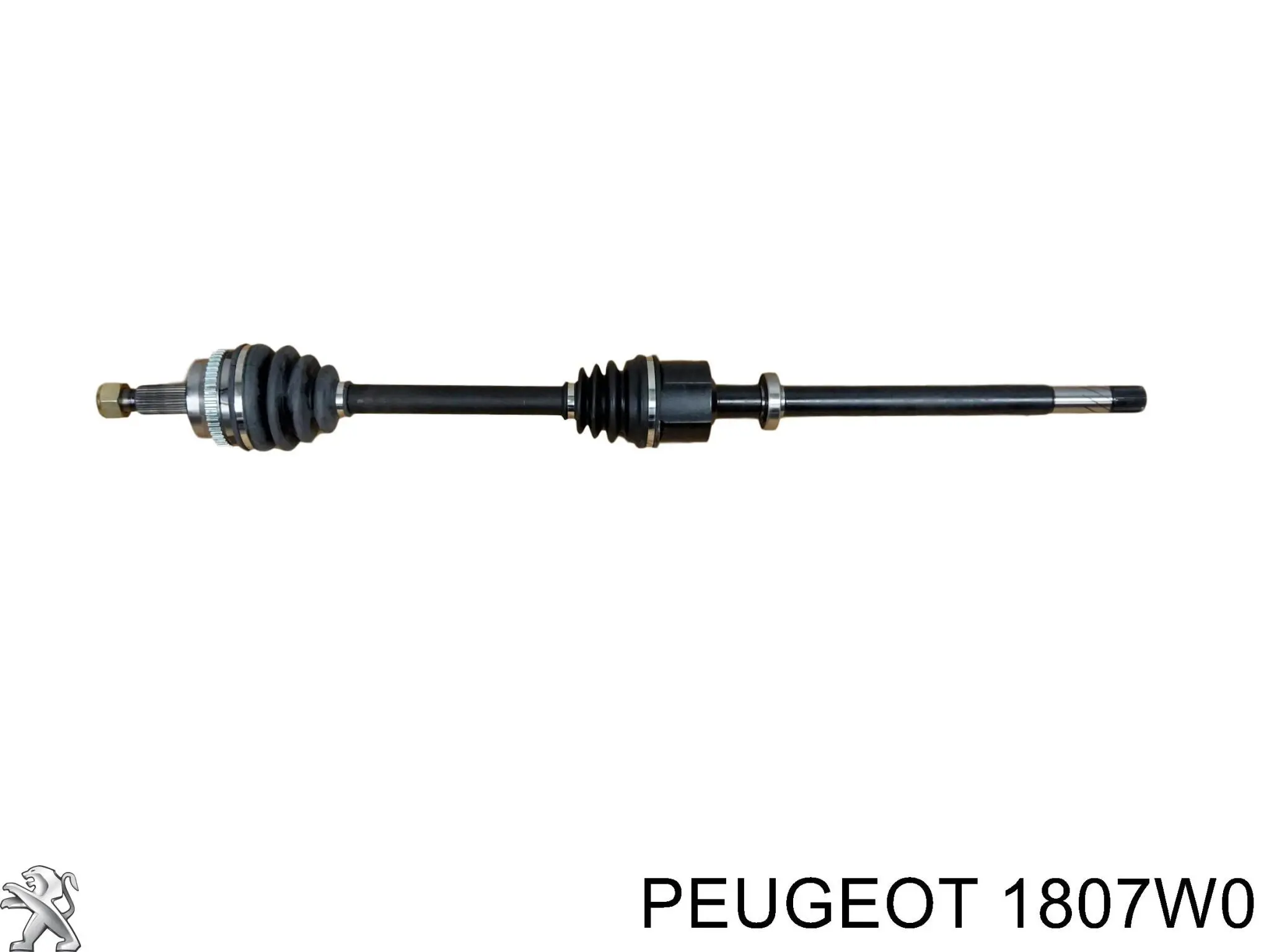 Задняя подушка двигателя на Peugeot 307 CC 3B