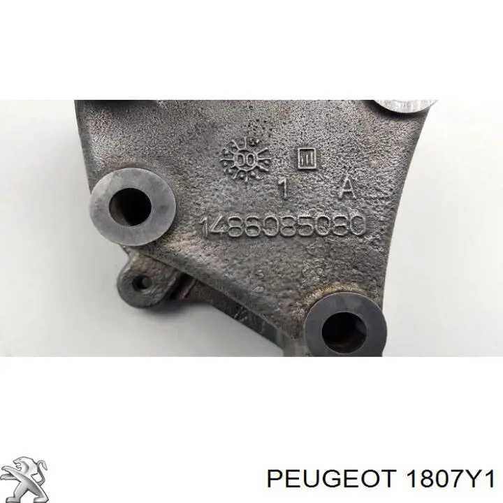 Купить 1807Y1 Peugeot/Citroen 