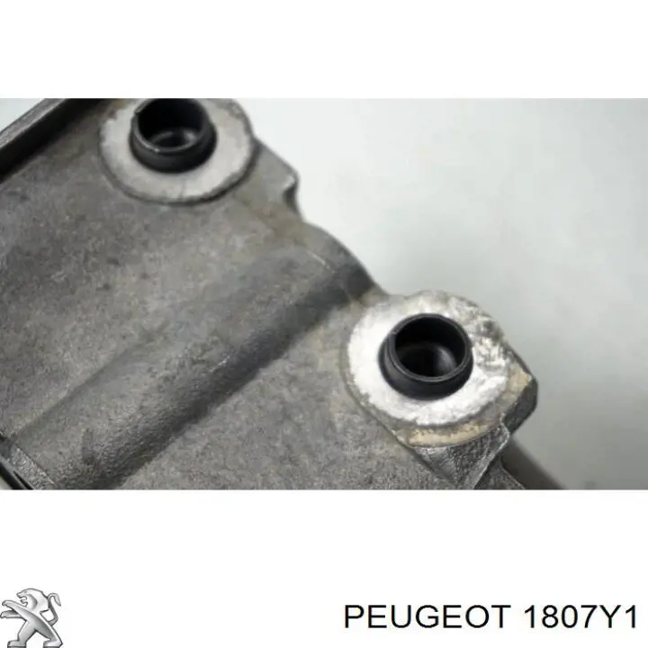  Peugeot/Citroen 1807Y1 цена, от 31.67 USD