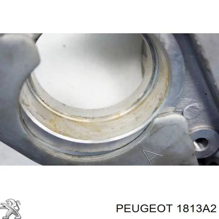 Купить 1813A2 Peugeot/Citroen 