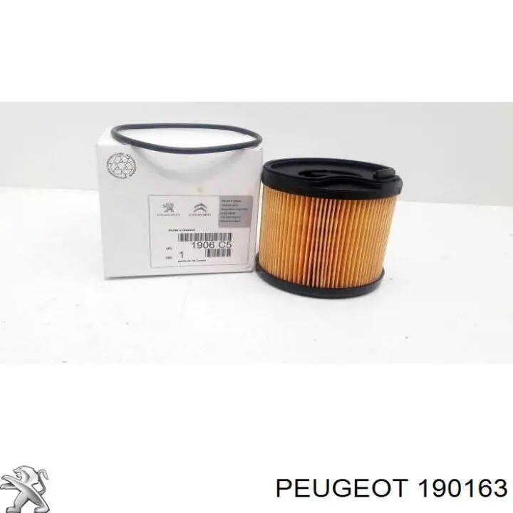 190163 Peugeot/Citroen топливный фильтр