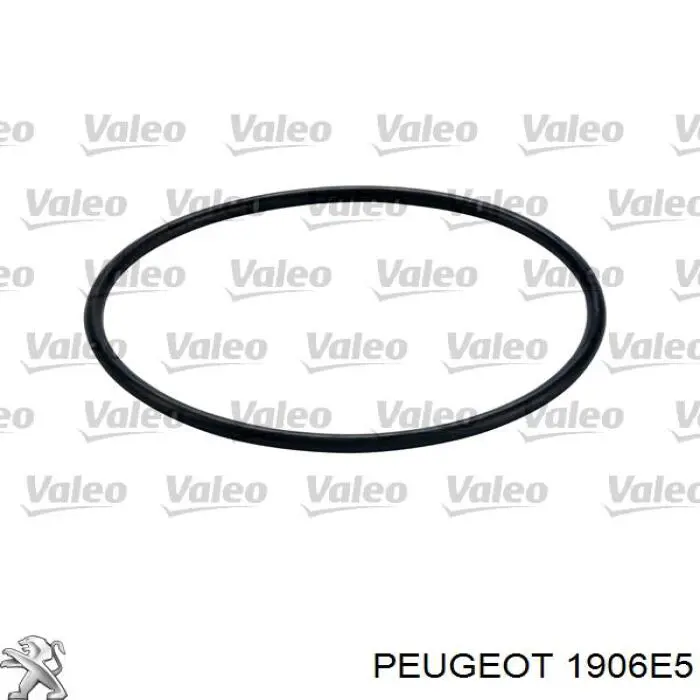 Фильтр топливный Peugeot/Citroen 1906E5